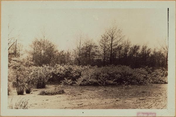 Richmond: Arthur Kill Road - Clay Pit Road, 1929