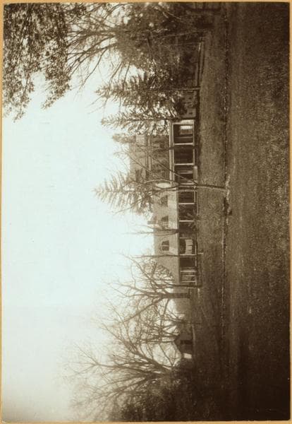 Bronx: Provost Avenue - west side - between Conner and Light Streets., 1902