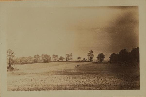 Farming - Queens., 1927