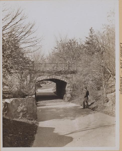 Manhattan: Central Park - Pathways., 1884