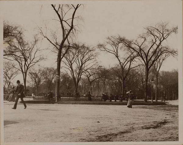 Manhattan: 59th Street - 5th Avenue, 1895