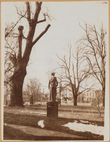 Brooklyn: Flatbush Avenue - Fenimore Street, 1900