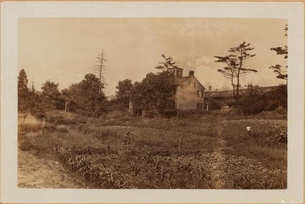 Bronx: White Plains Road - Pelham Parkway South, 1928