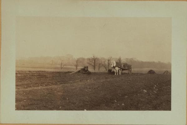 Farming on Staten Island, 1925–1927