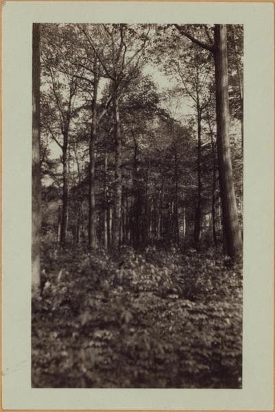 Richmond: Clove Road - Fingerboard Road, 1926