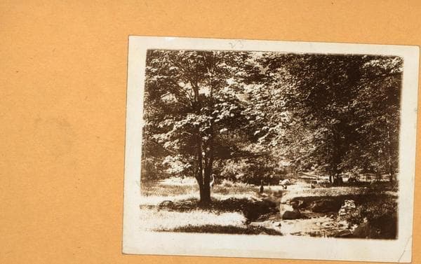 Bronx: Bronx Park - Zoological Garden., 1920