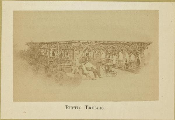 Brooklyn: Prospect Park., 1860