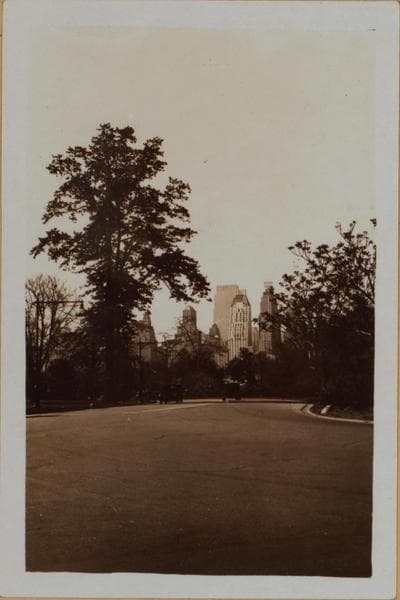 Manhattan: Central Park - West Drive., 1933