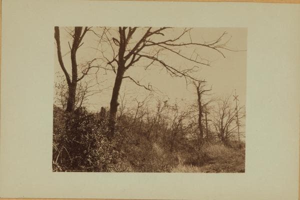 Richmond: Fort Place - Sherman Avenue, 1915–1923