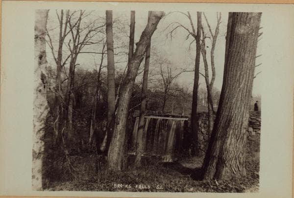 Richmond: Staten Island - Clove Lakes Park - Brook's Falls., 1905