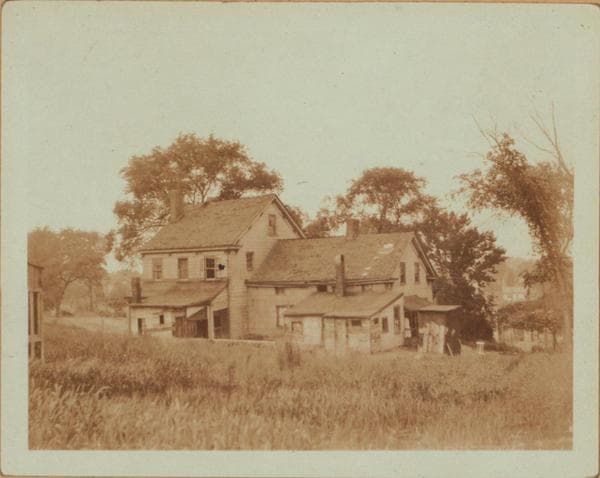 Queens: Calamus Avenue - 71st Street, 1925