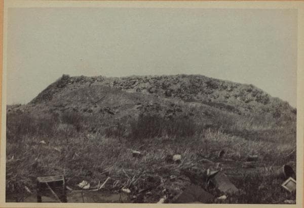 Queens: Colonial Avenue, 1923–1928