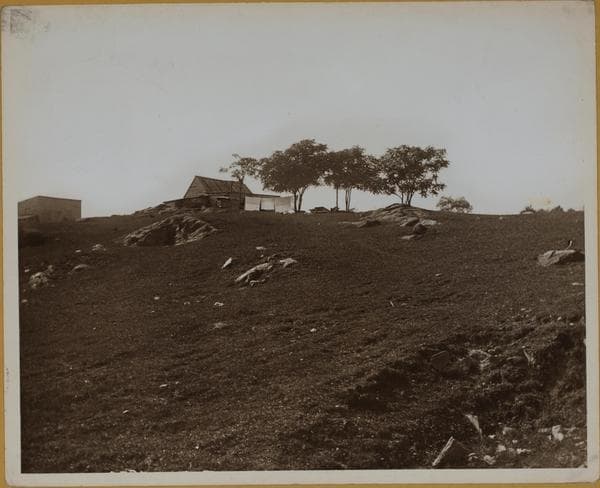 Manhattan: 101st Street - Madison Avenue