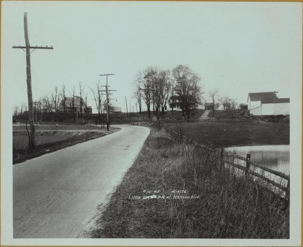 Queens: Little Neck Parkway - Nassau Boulevard
