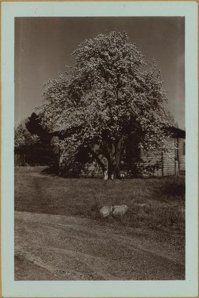 Richmond: Woodrow Road - Canton Avenue, 1938