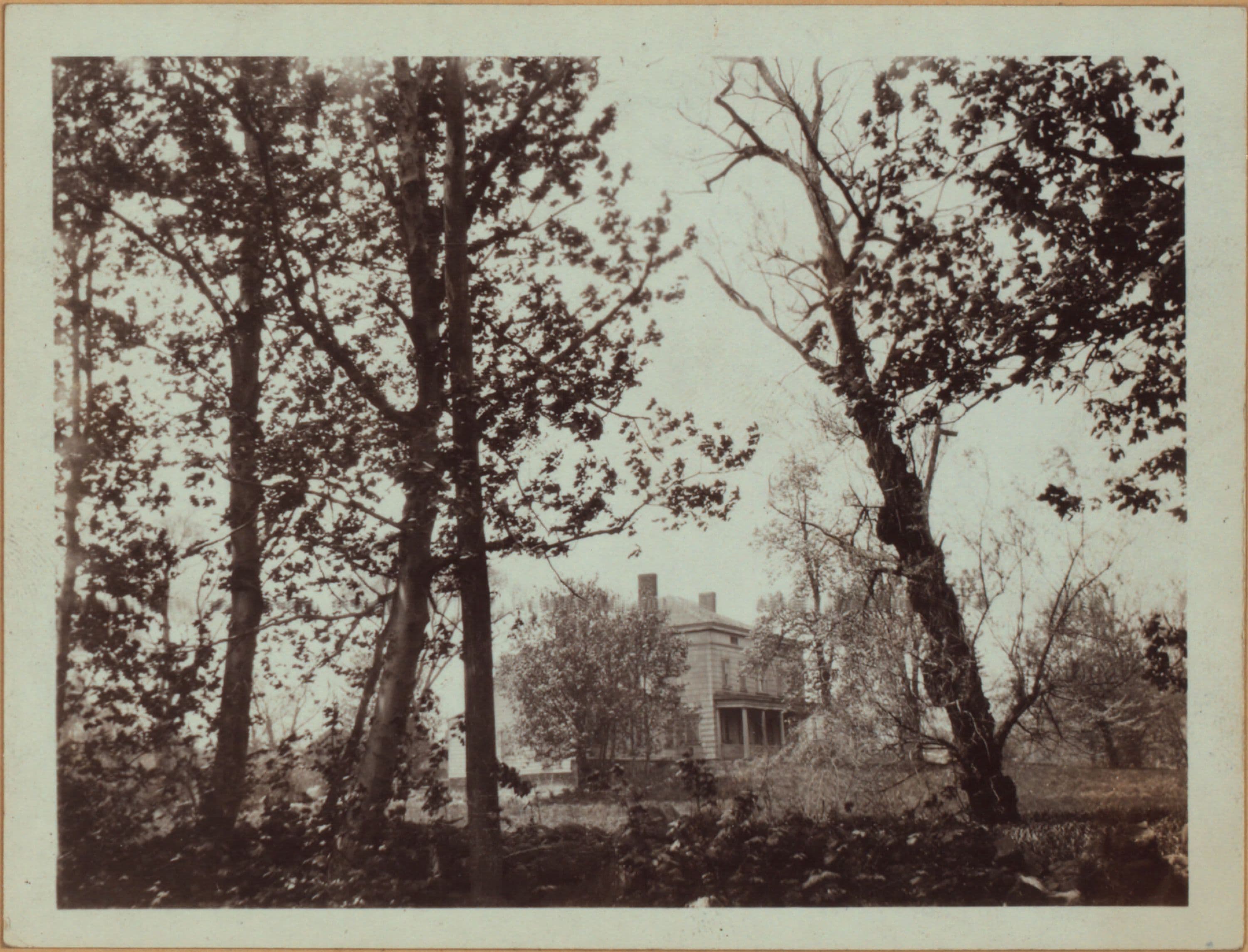 Queens: 19th Avenue - 79th Street