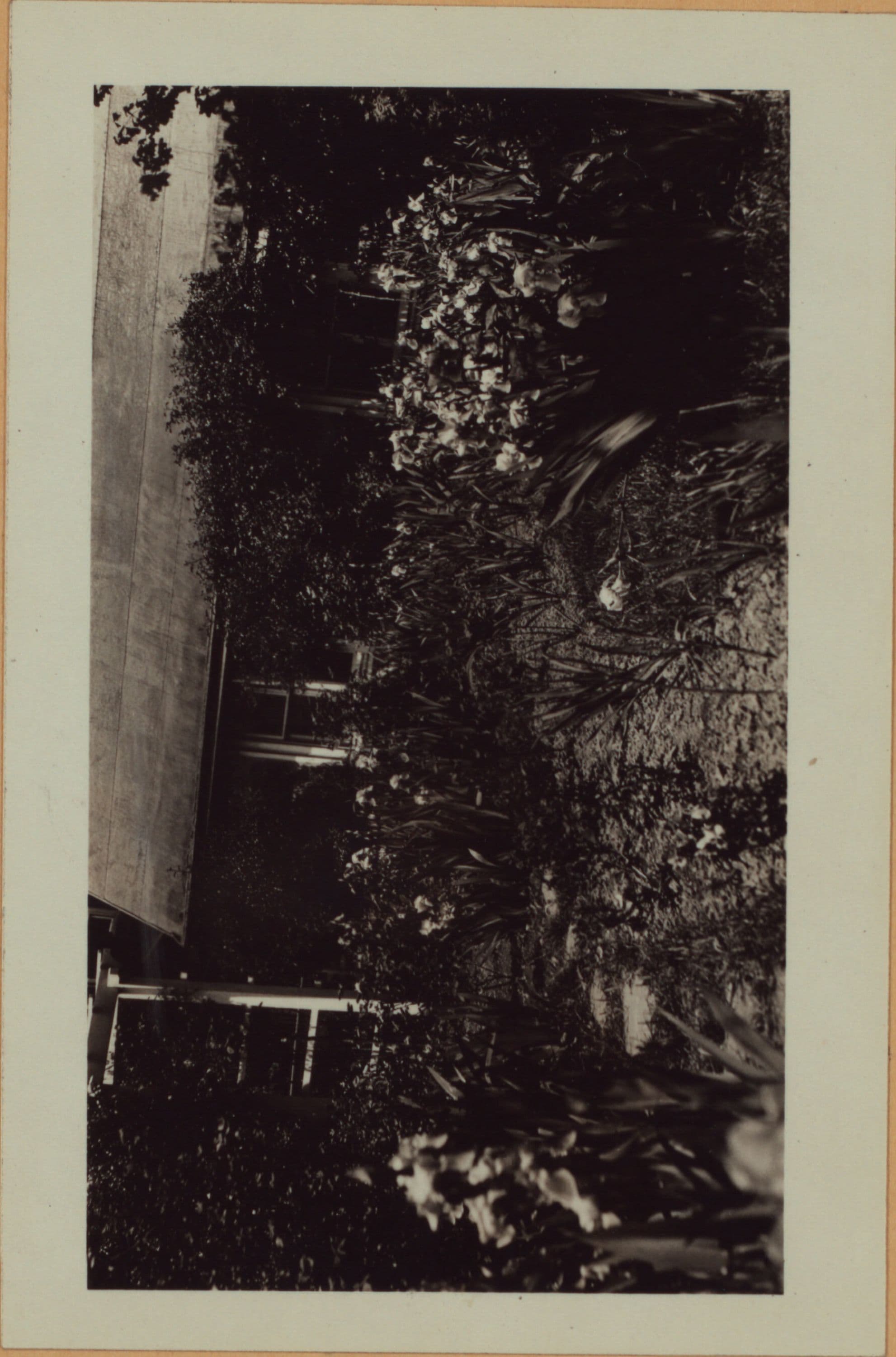 Richmond: Clinton Avenue - Henderson Avenue
