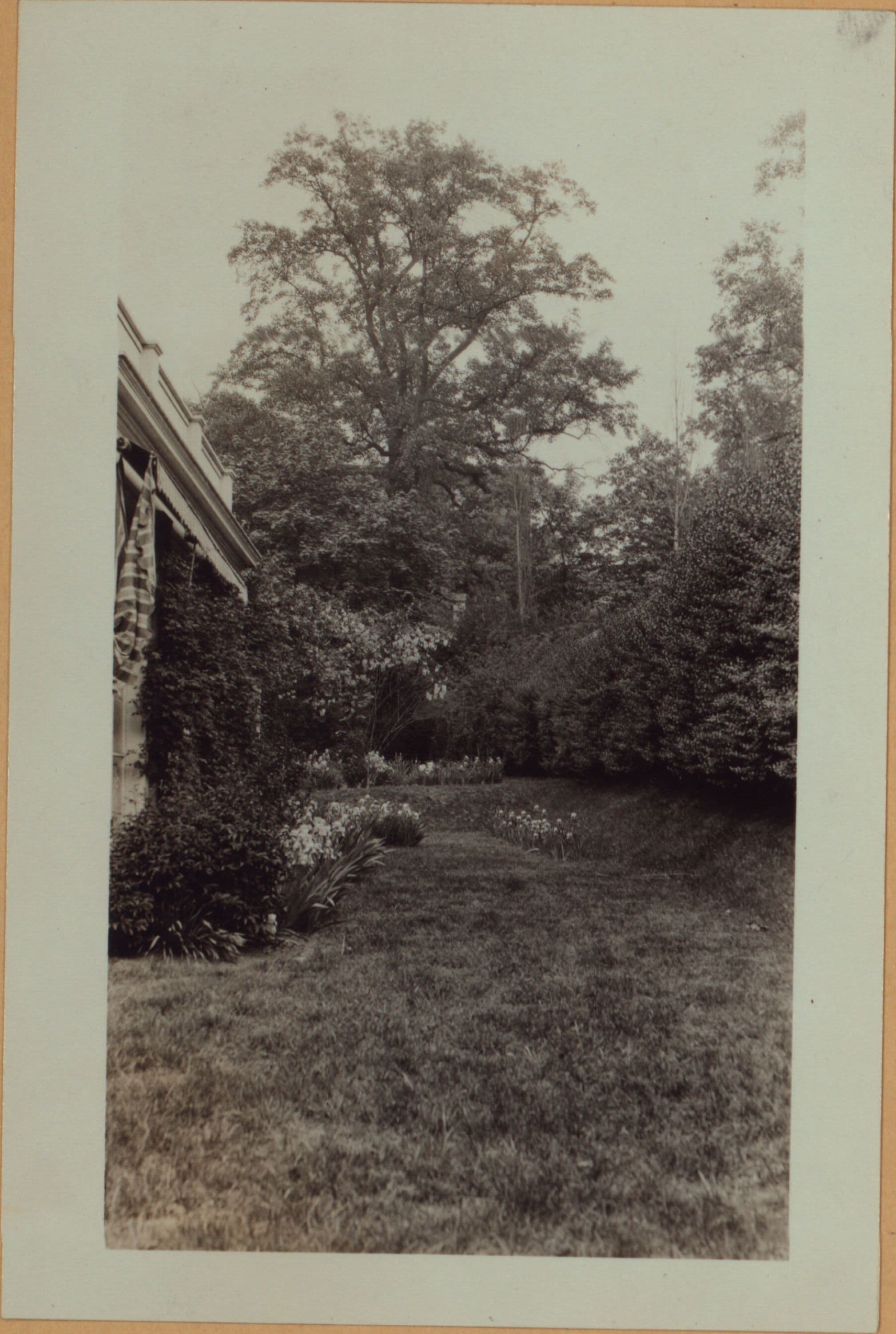 Richmond: Clinton Avenue - Henderson Avenue