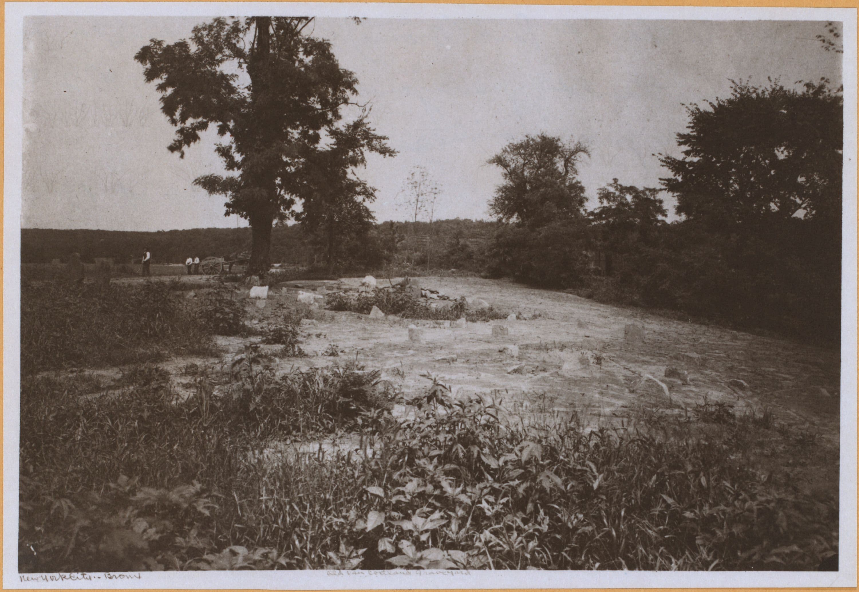 Bronx: Van Cortlandt Park.