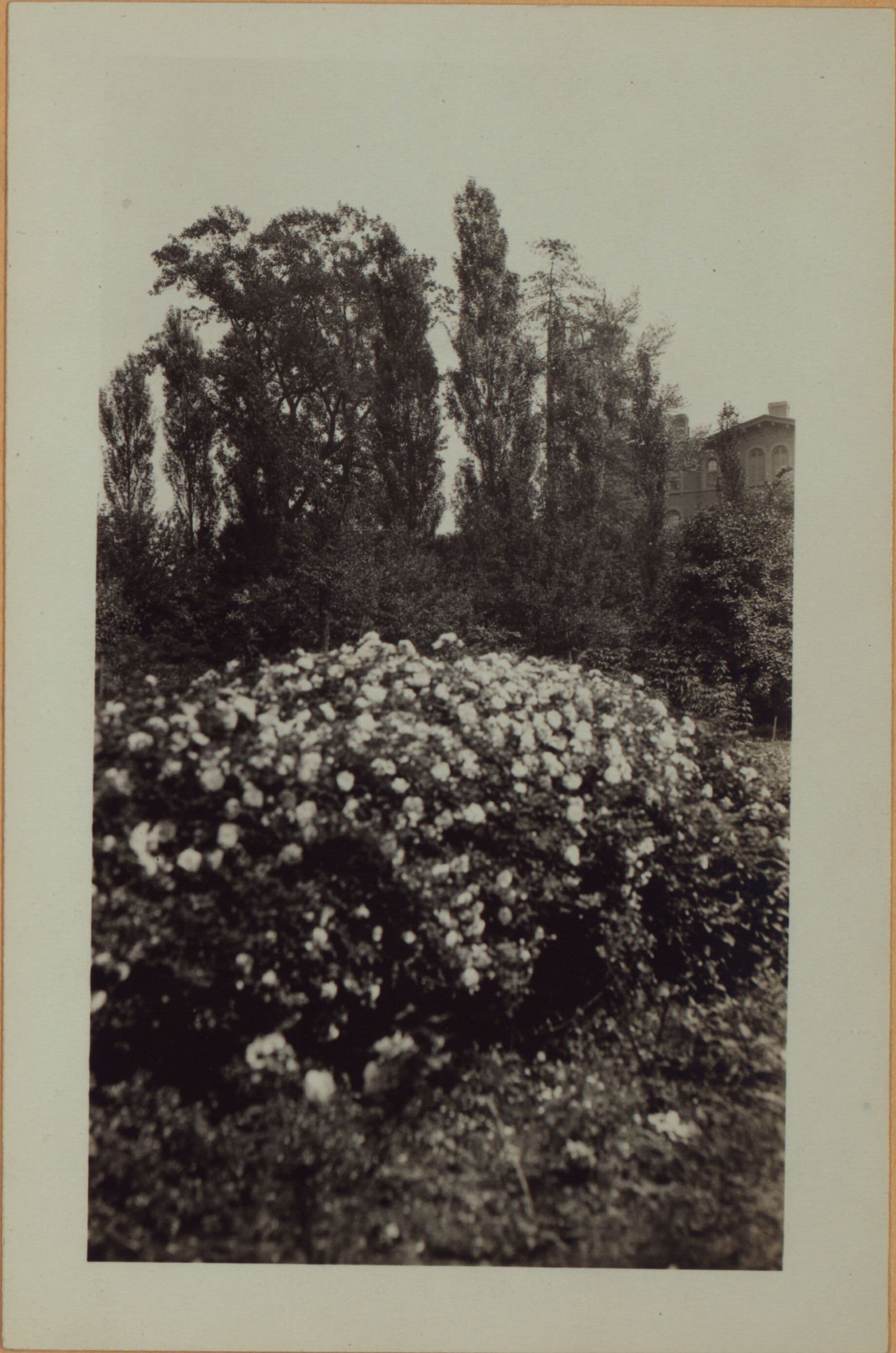Richmond: Clinton Avenue - Henderson Avenue