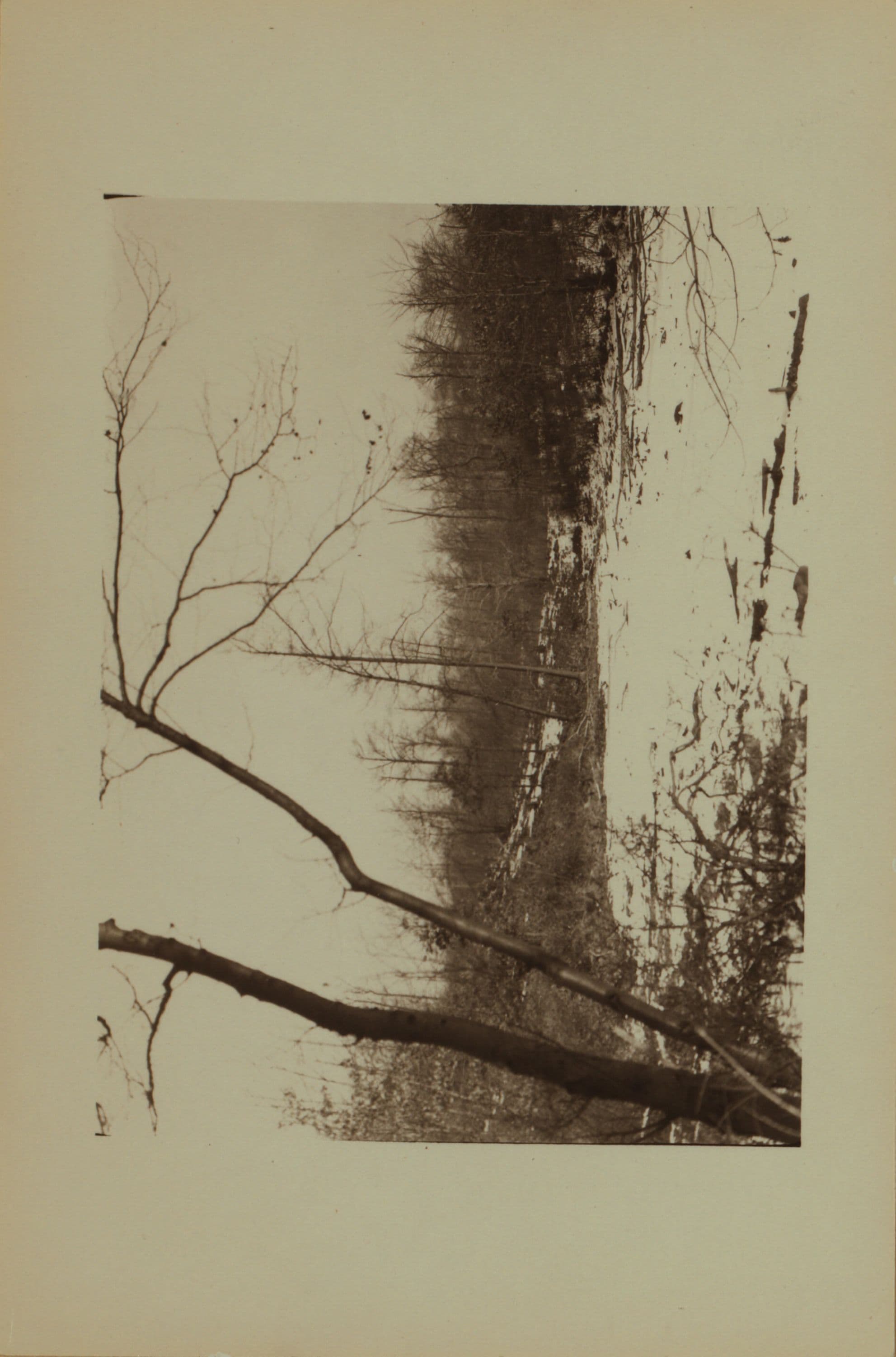 White's Pond - Staten Island