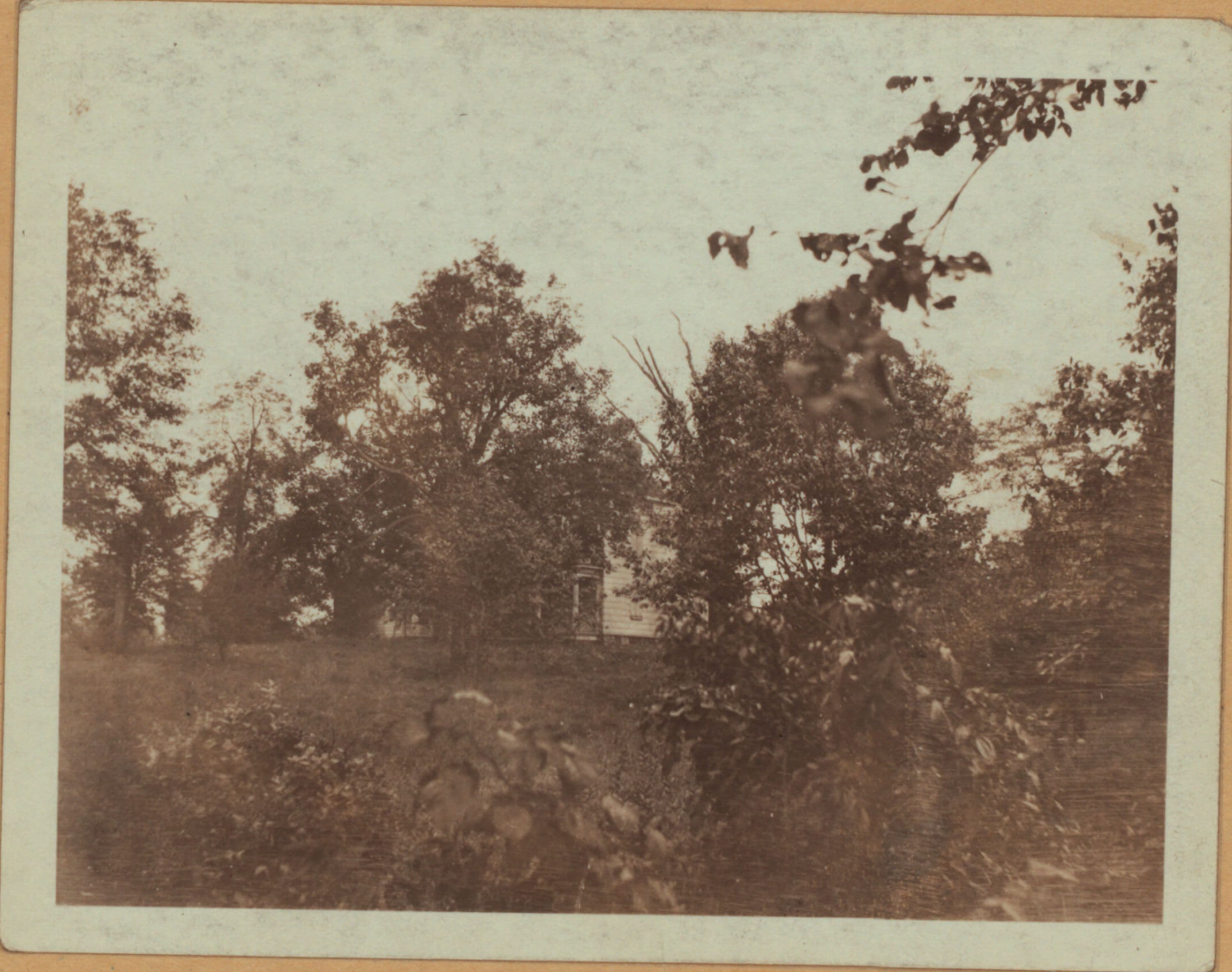 Queens: 19th Avenue - 79th Street