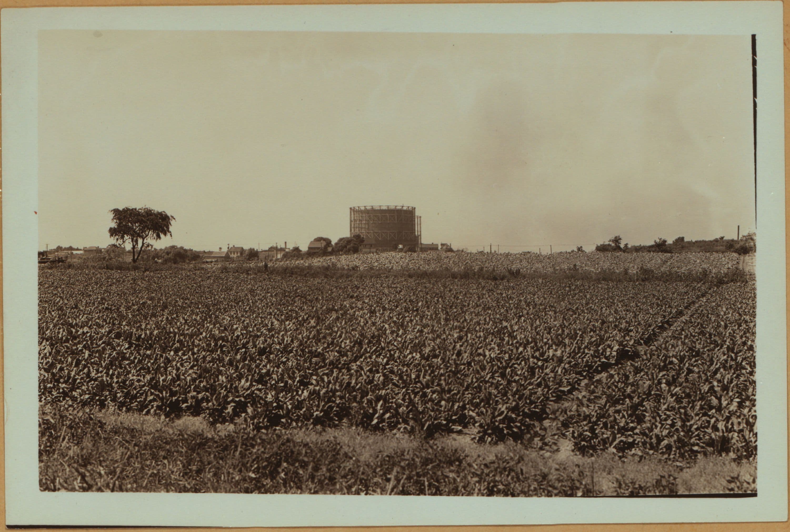 Farming - Queens., 1935
