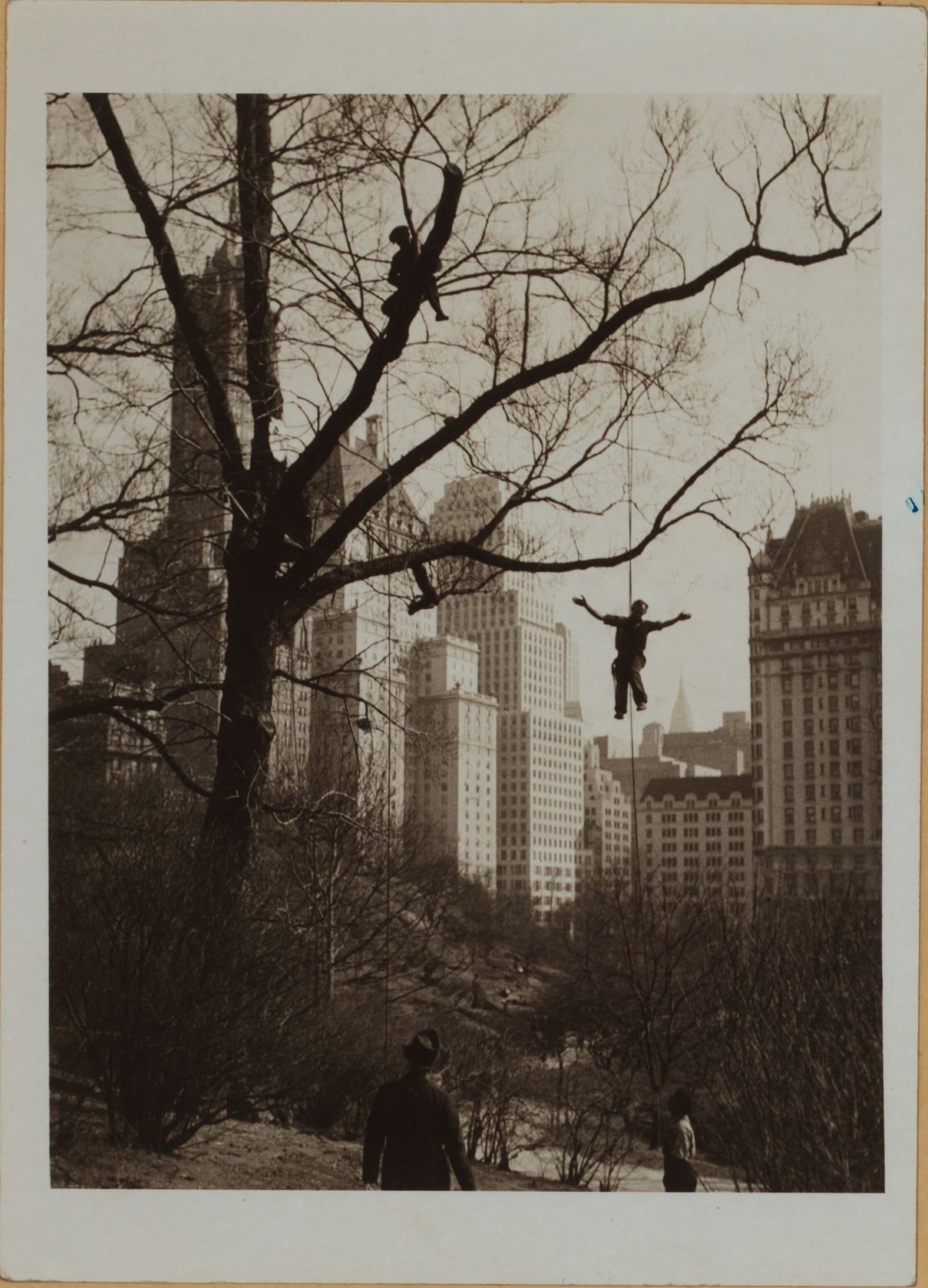 Manhattan: 5th Avenue - 59th Street