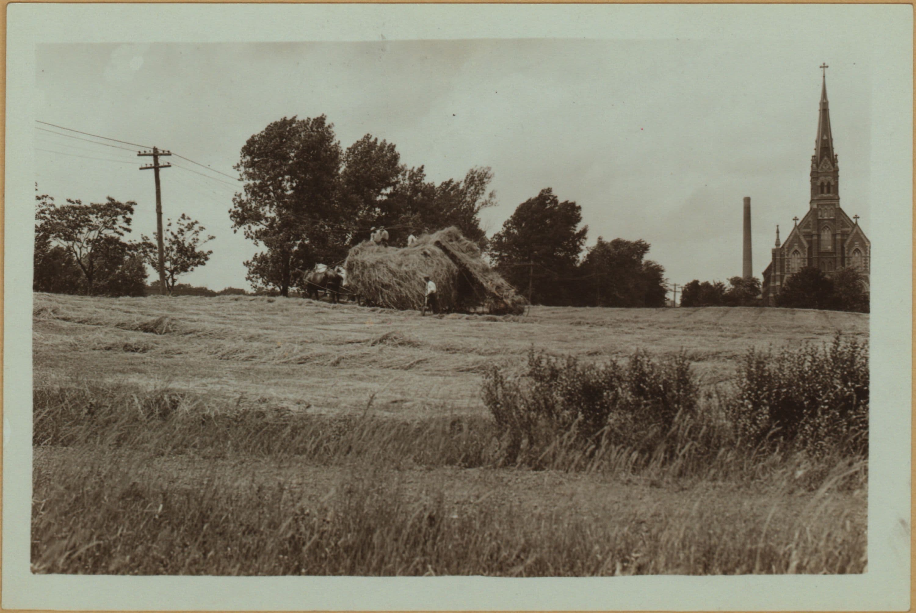 Farming on Staten Island