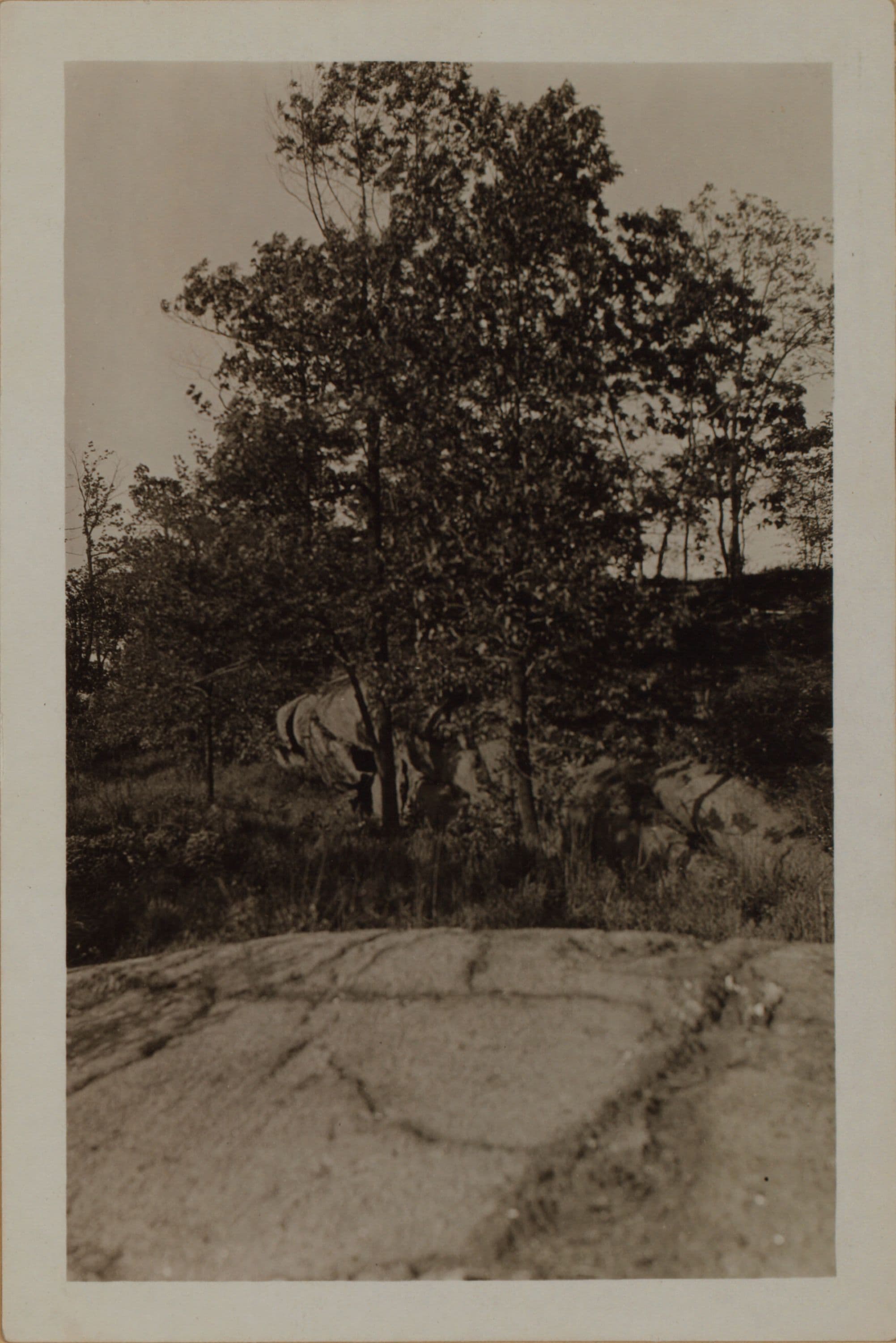 Manhattan: 178th Street (West) - Cedar Avenue