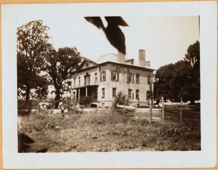 Bronx: Cornell Avenue - Bolton Avenue