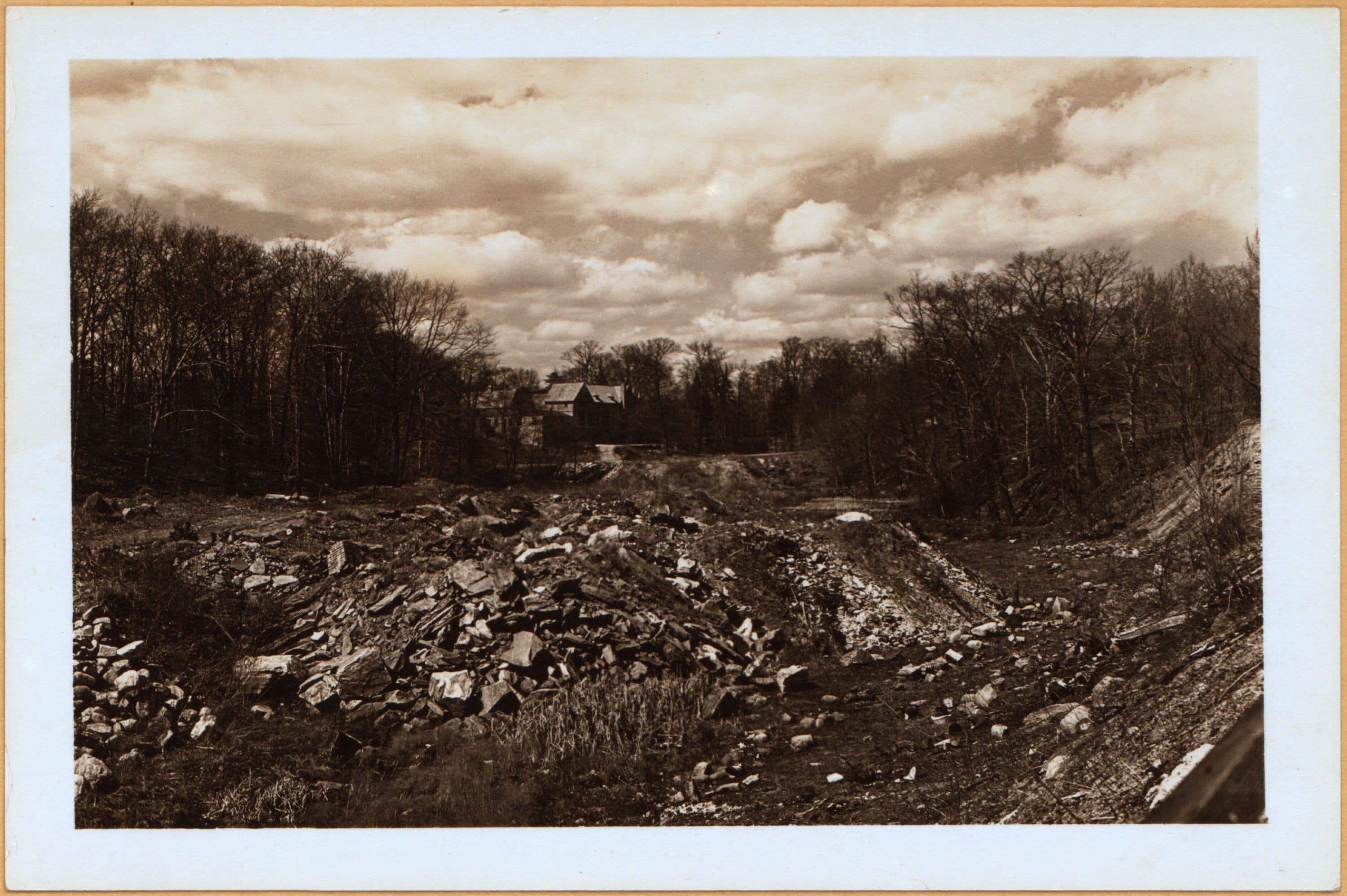 Bronx: Bronx Park - a gulley.