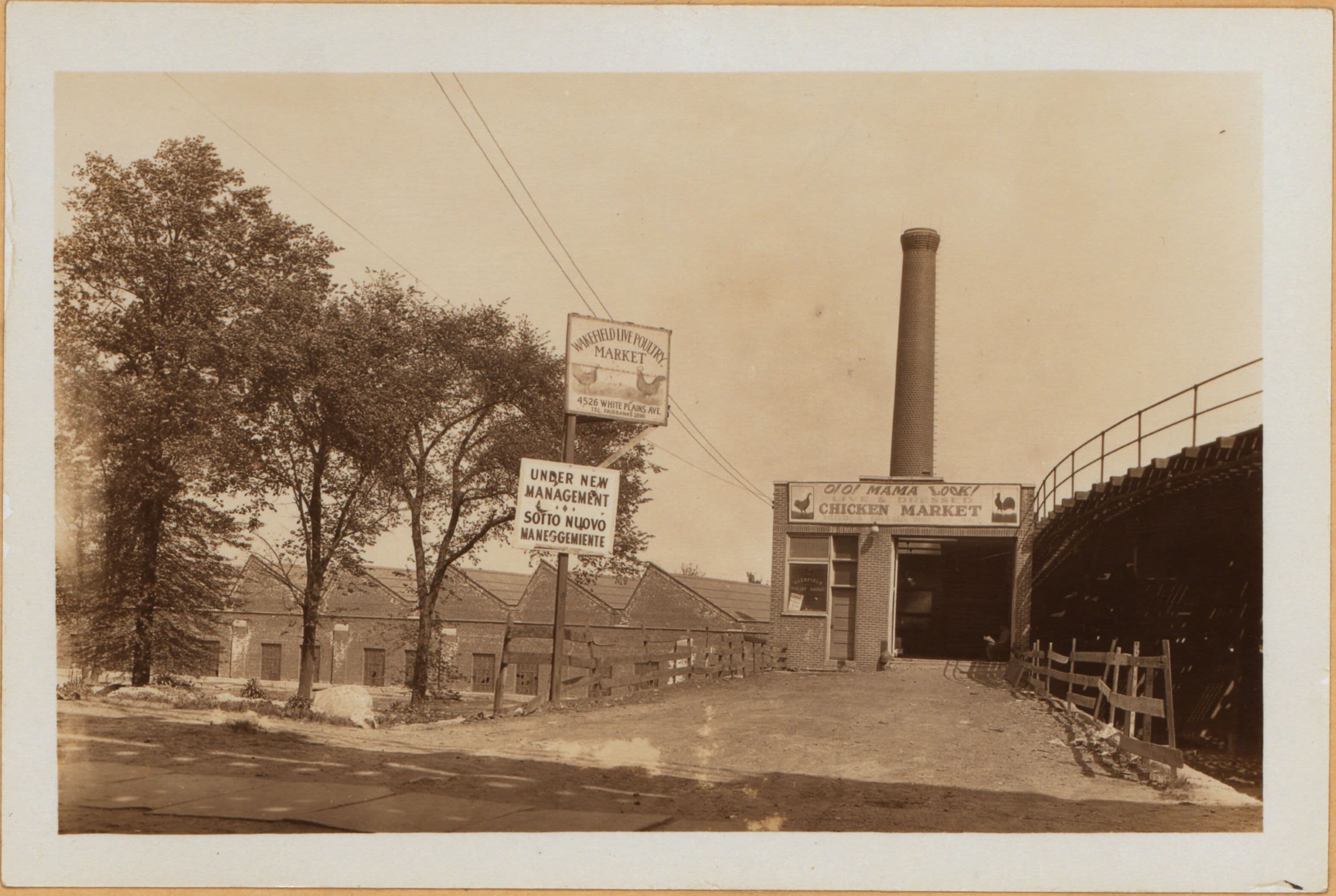 Bronx: White Plains Road - 239th Street (East)