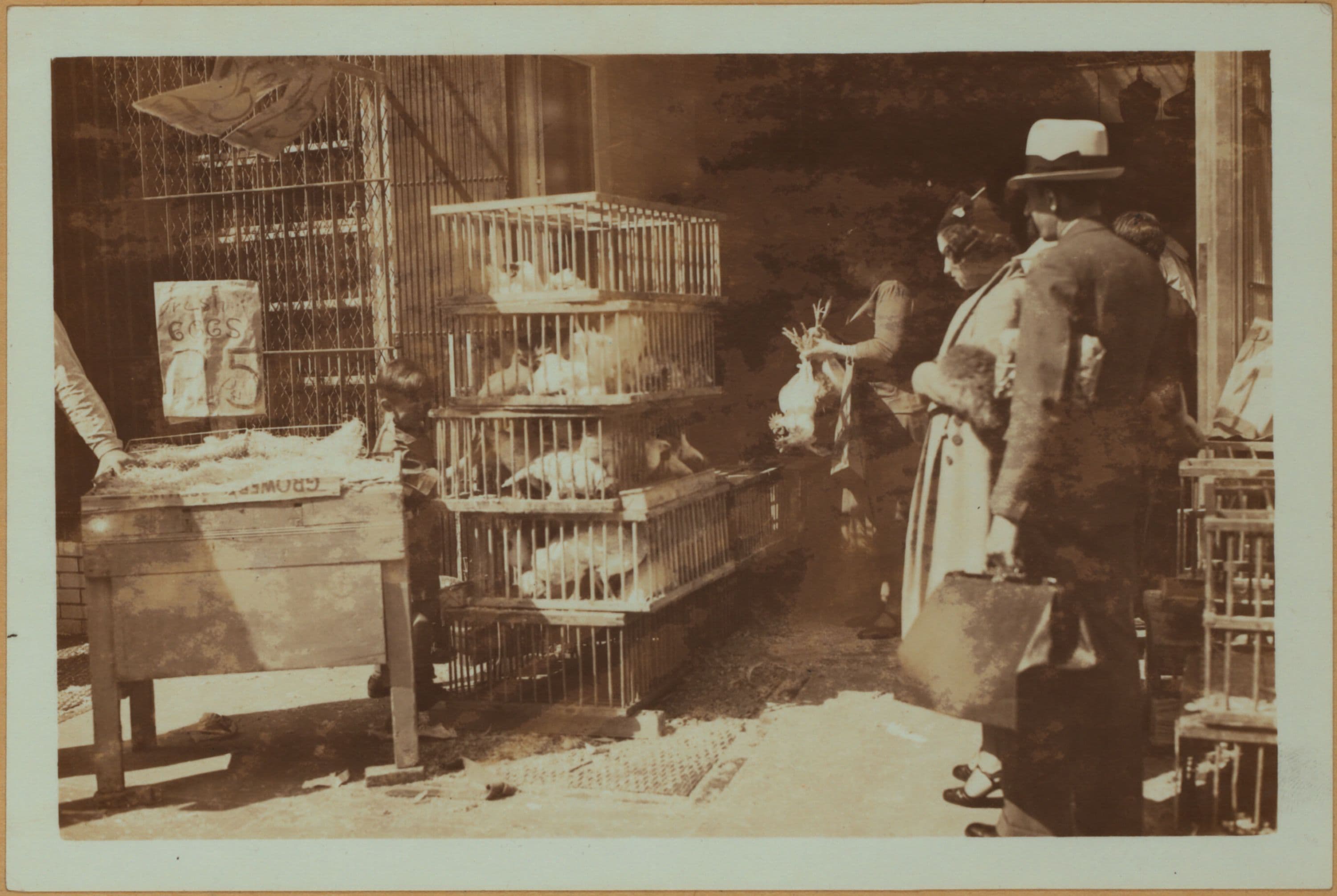 Occupations - Peddlers - Foodstuffs - Poultry., 1934–1935