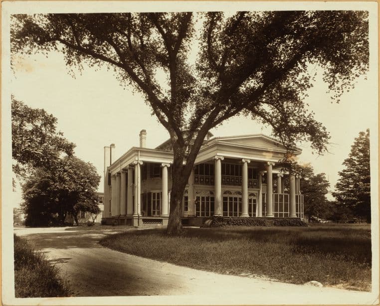 Bronx: Schurz Avenue - Davis Street