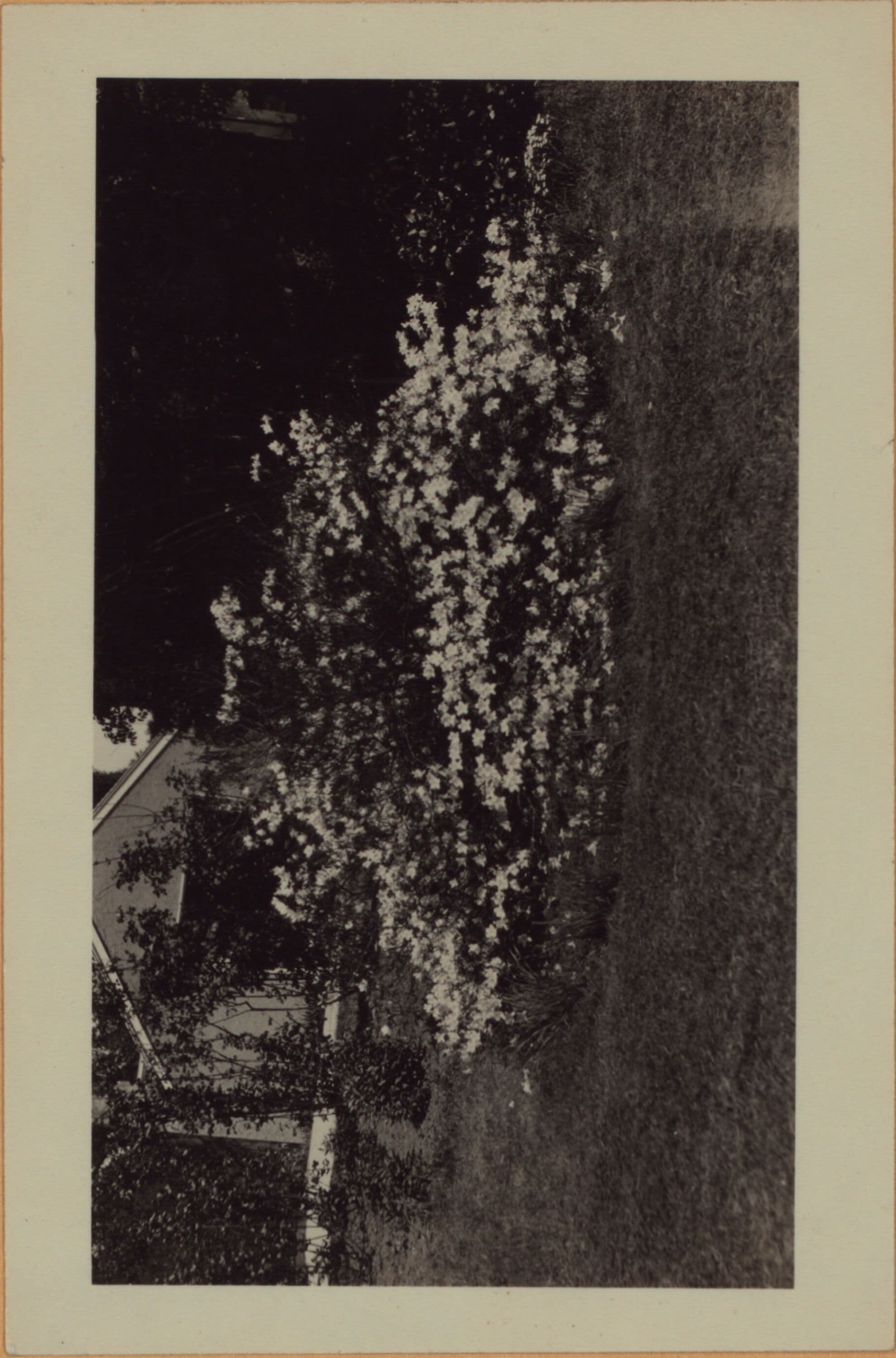 Richmond: Clinton Avenue - Henderson Avenue