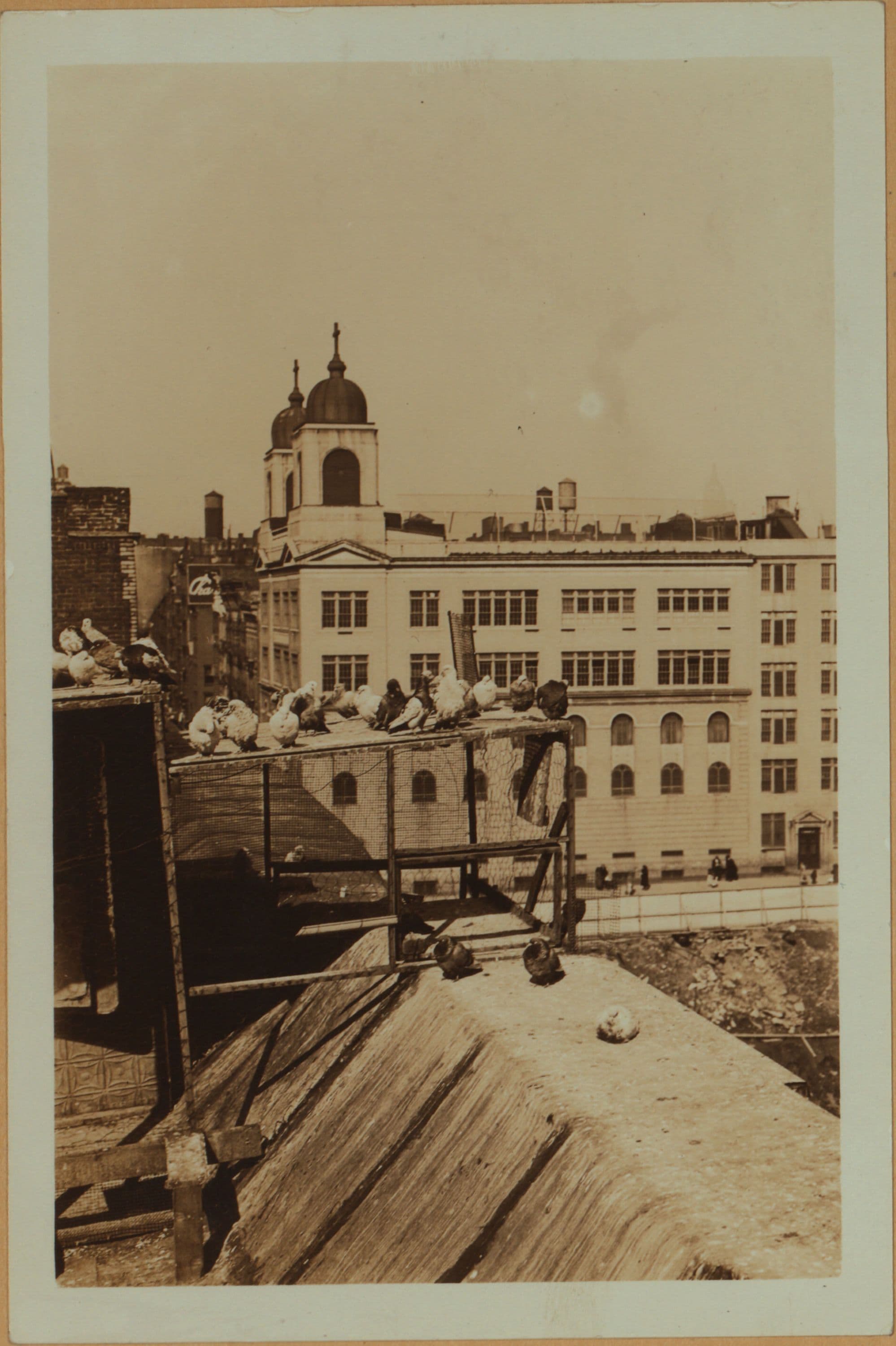 Recreation and hobbies - Bird raising., 1930–1934