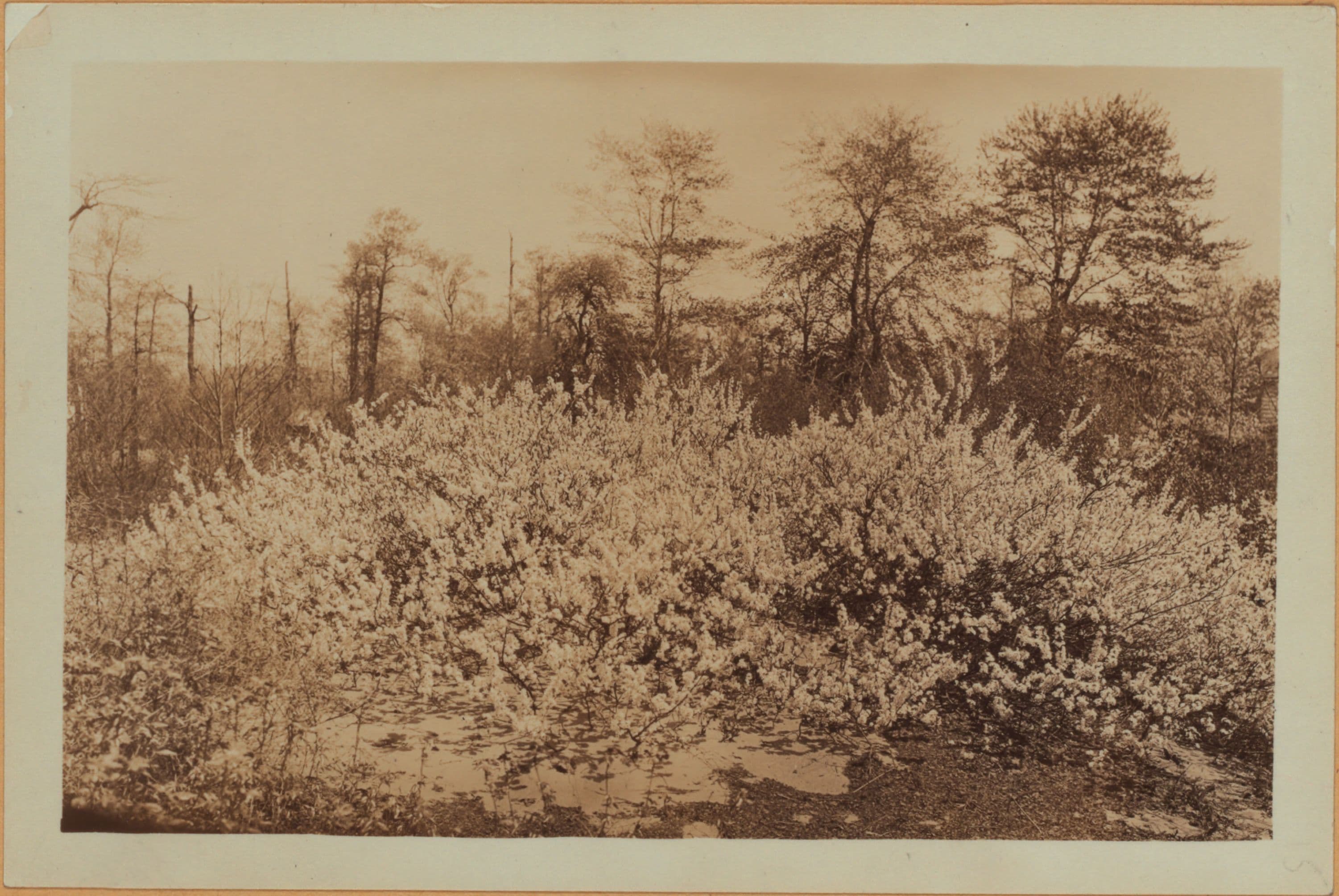 Richmond: Arthur Kill Road - Clay Pit Road, 1929–1930