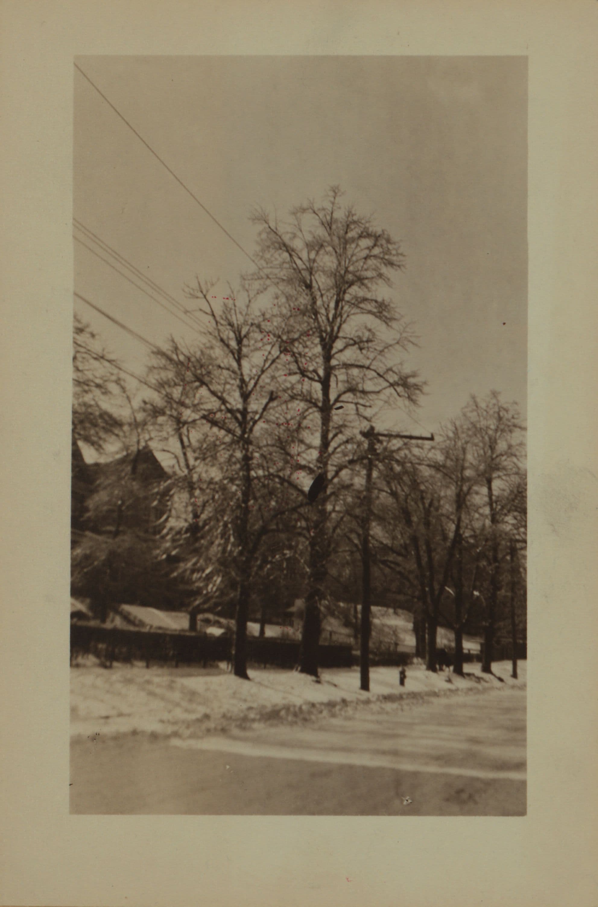 Richmond: Victory Boulevard - Pike Street
