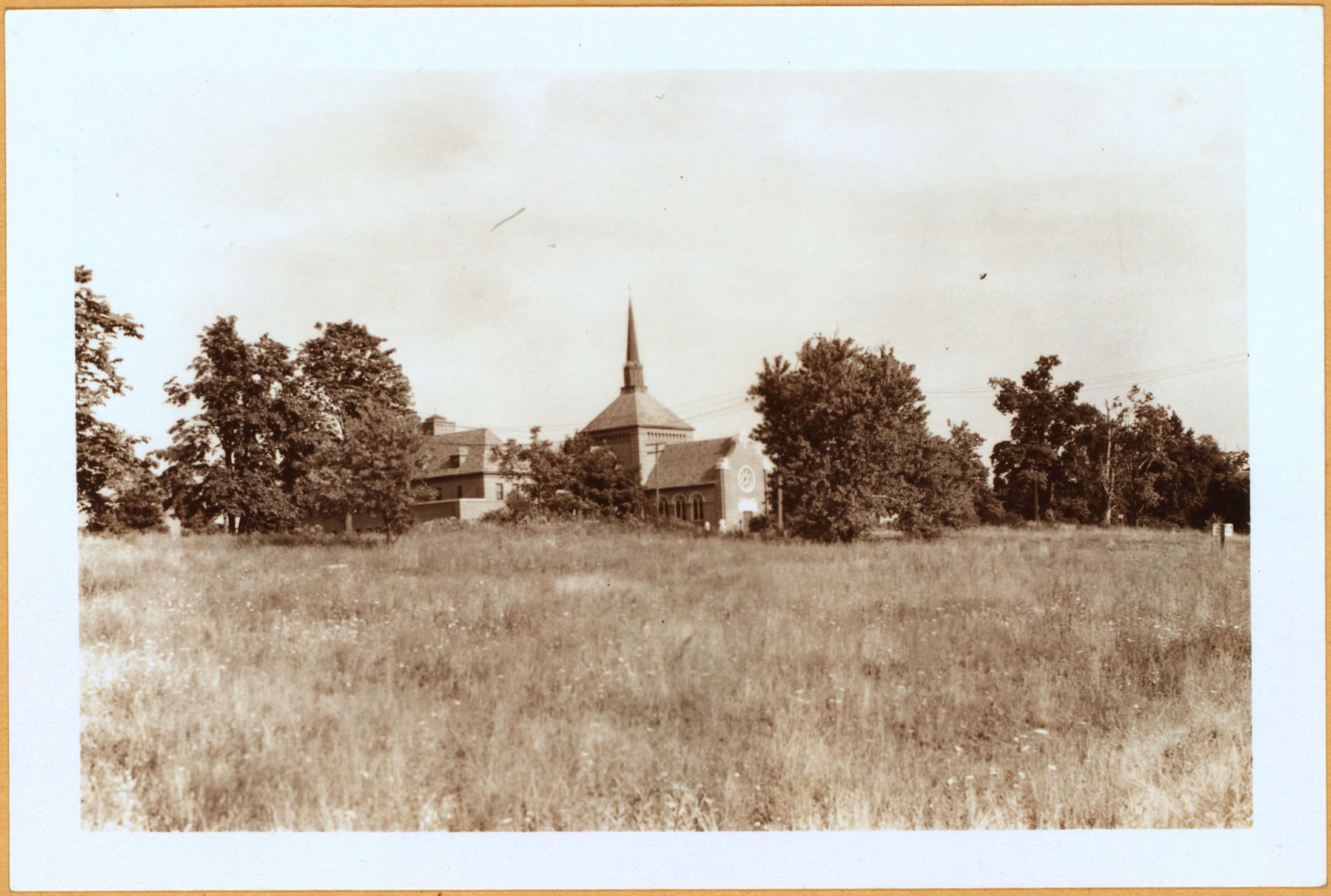 Bronx: Hollywood Avenue - Schurz Avenue