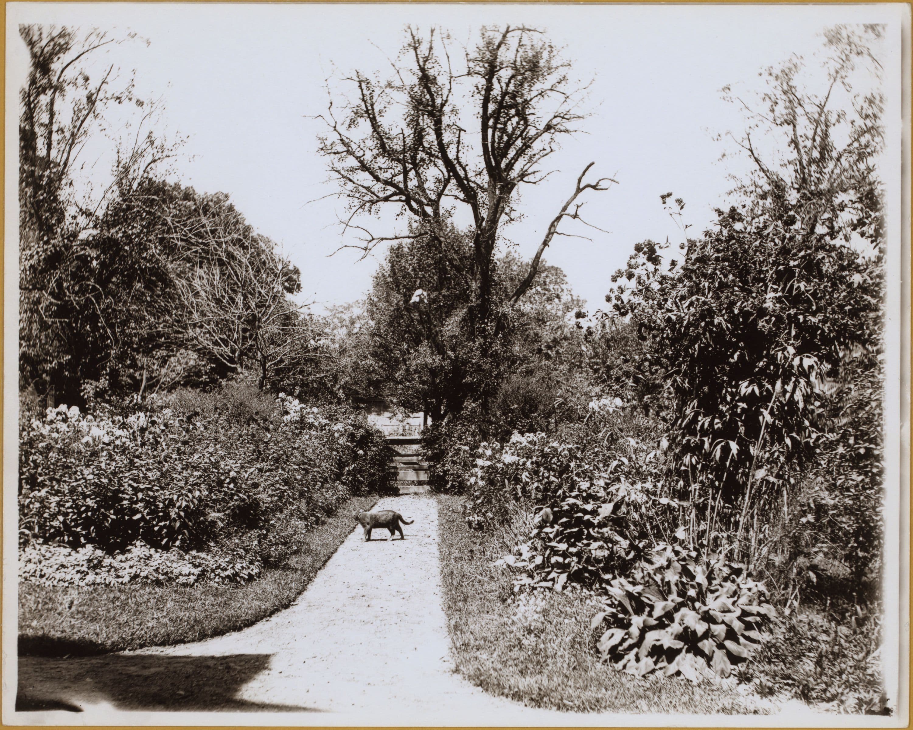 Brooklyn: Flatbush Avenue - Ditmas Avenue