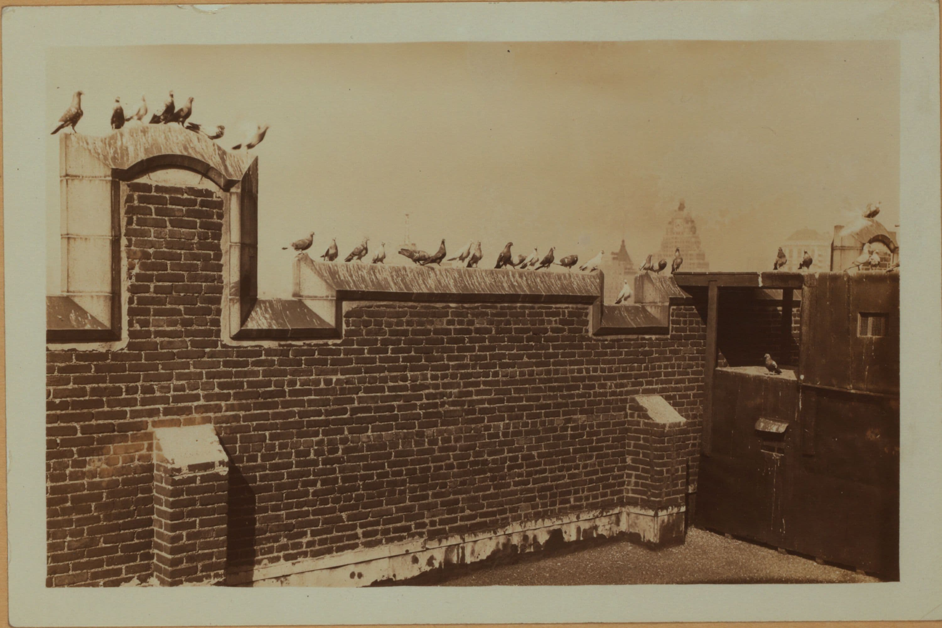Recreation and hobbies - Bird raising., 1930–1934