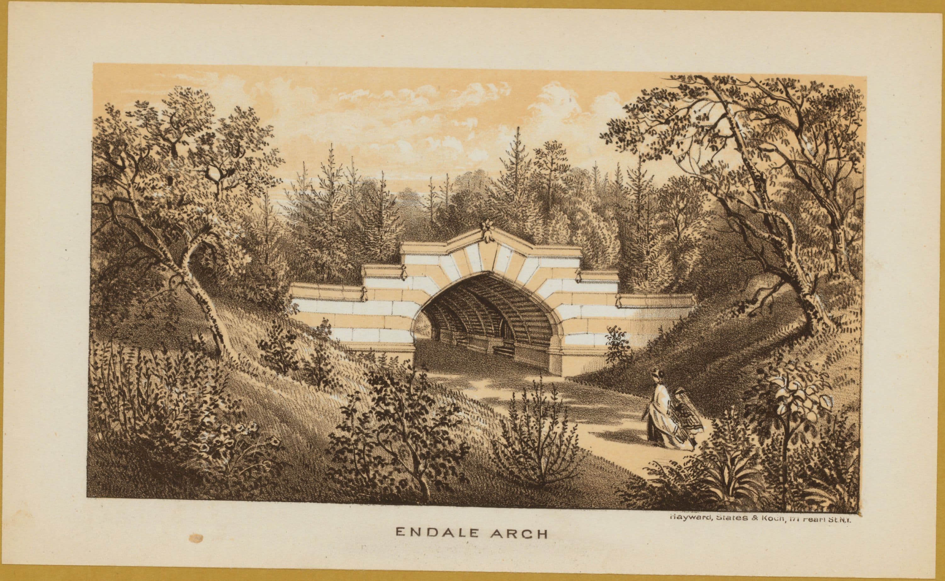 Brooklyn: Prospect Park.