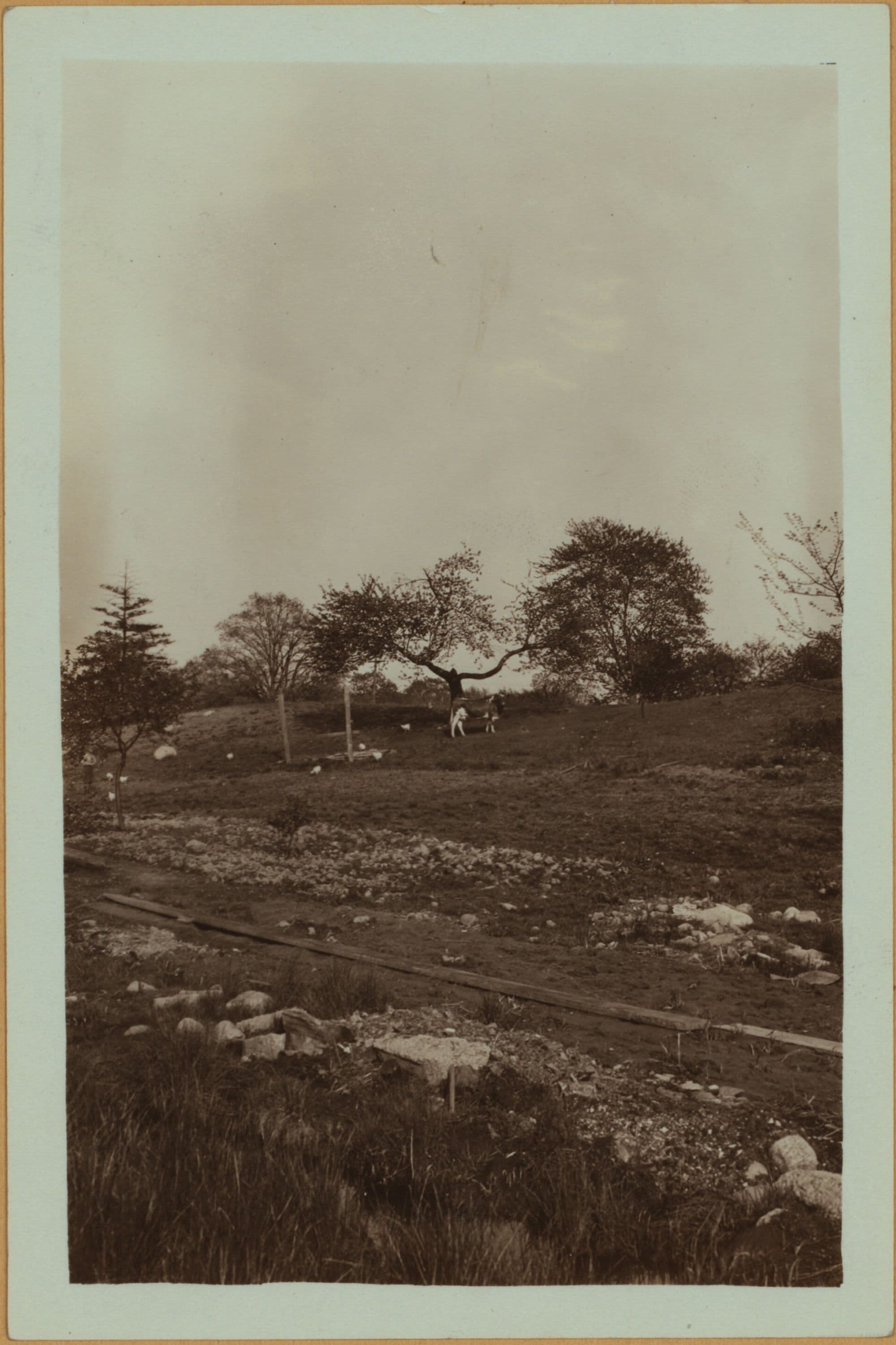 Farming on Staten Island, 1926–1932