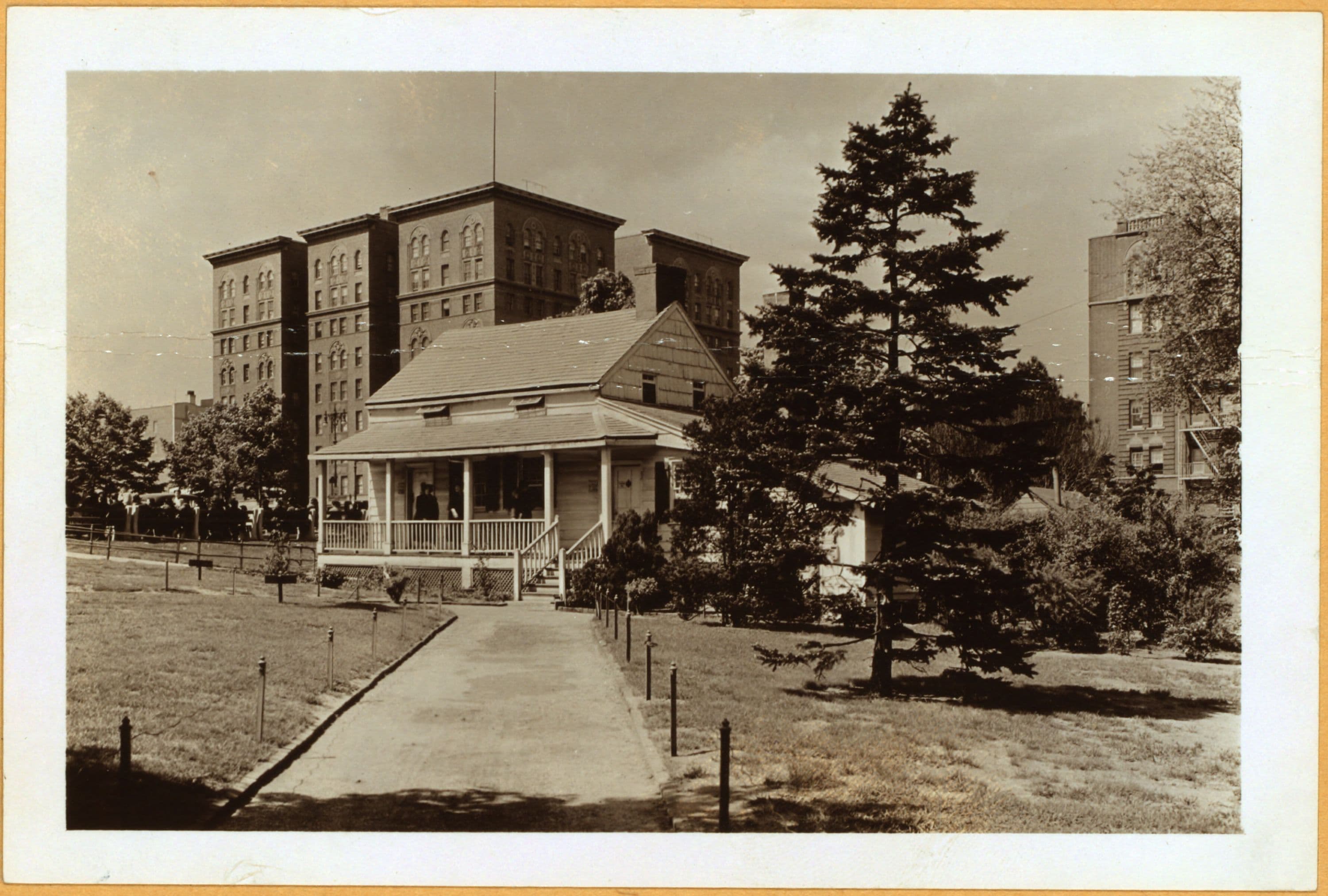 Bronx: Kingsbridge Road (Ea - Briggs Avenue