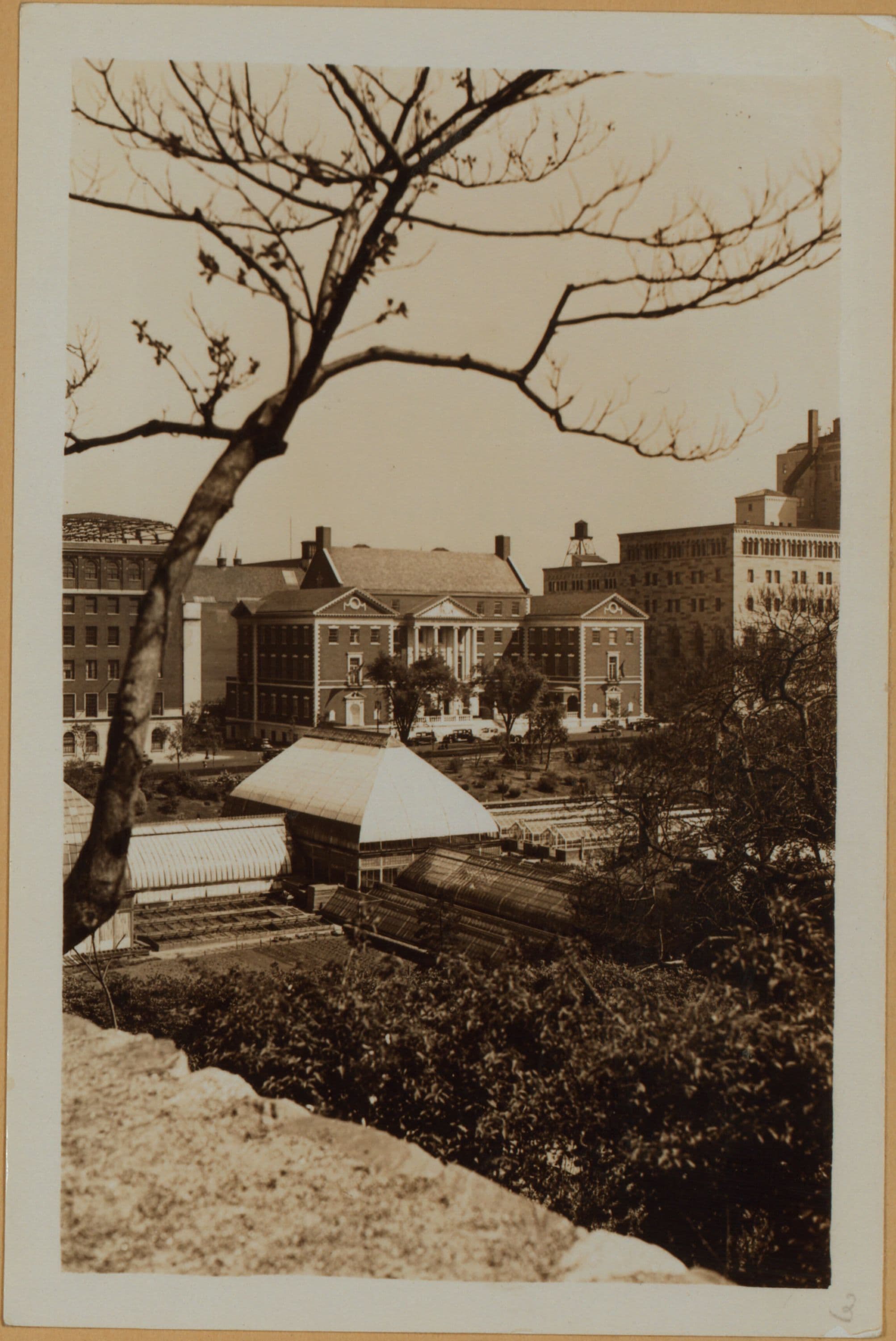 Manhattan: 5th Avenue - 103rd Street, 1933