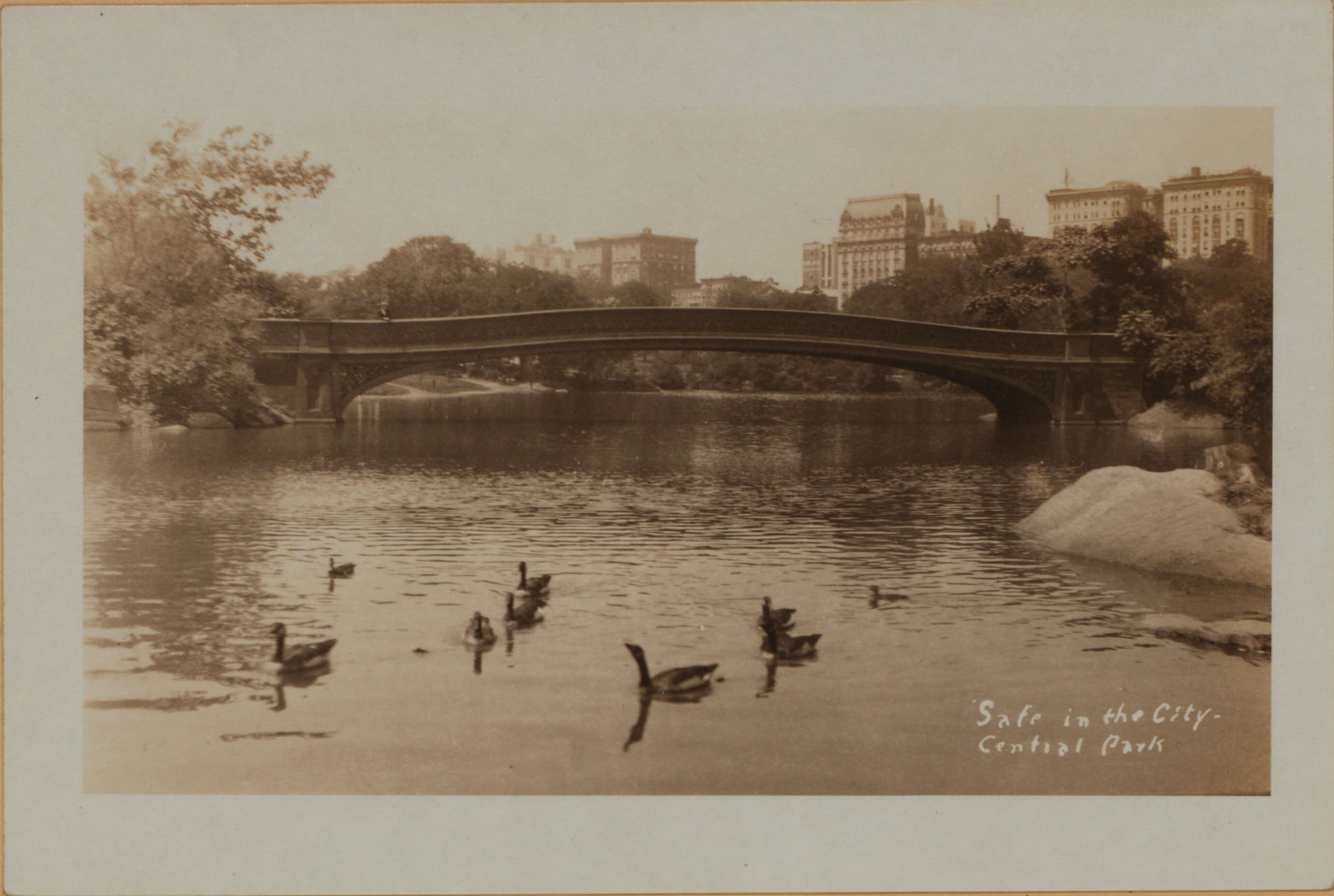 Manhattan: Central Park - The Lake