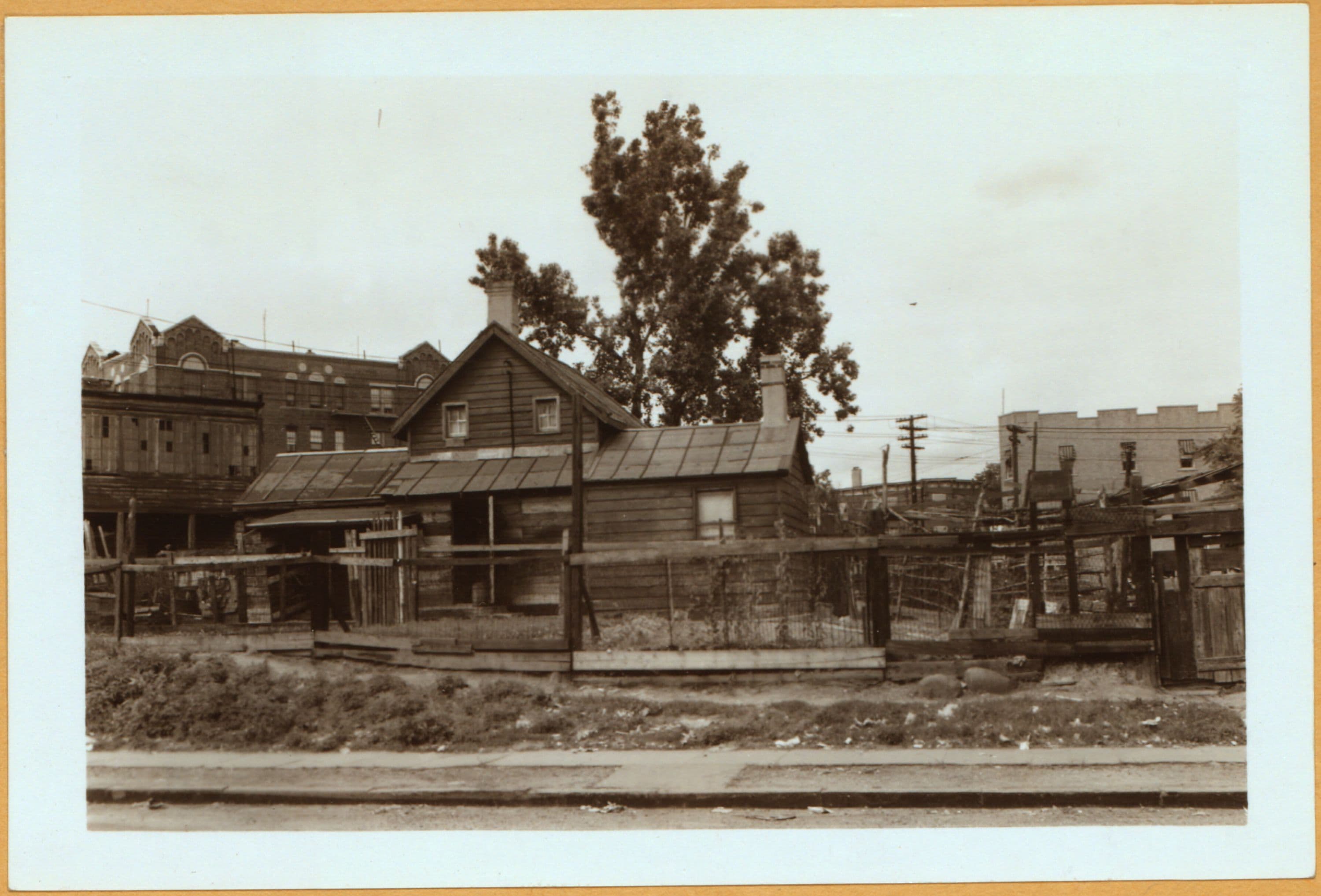 Bronx: Seddon Street - Tremont Avenue (East)