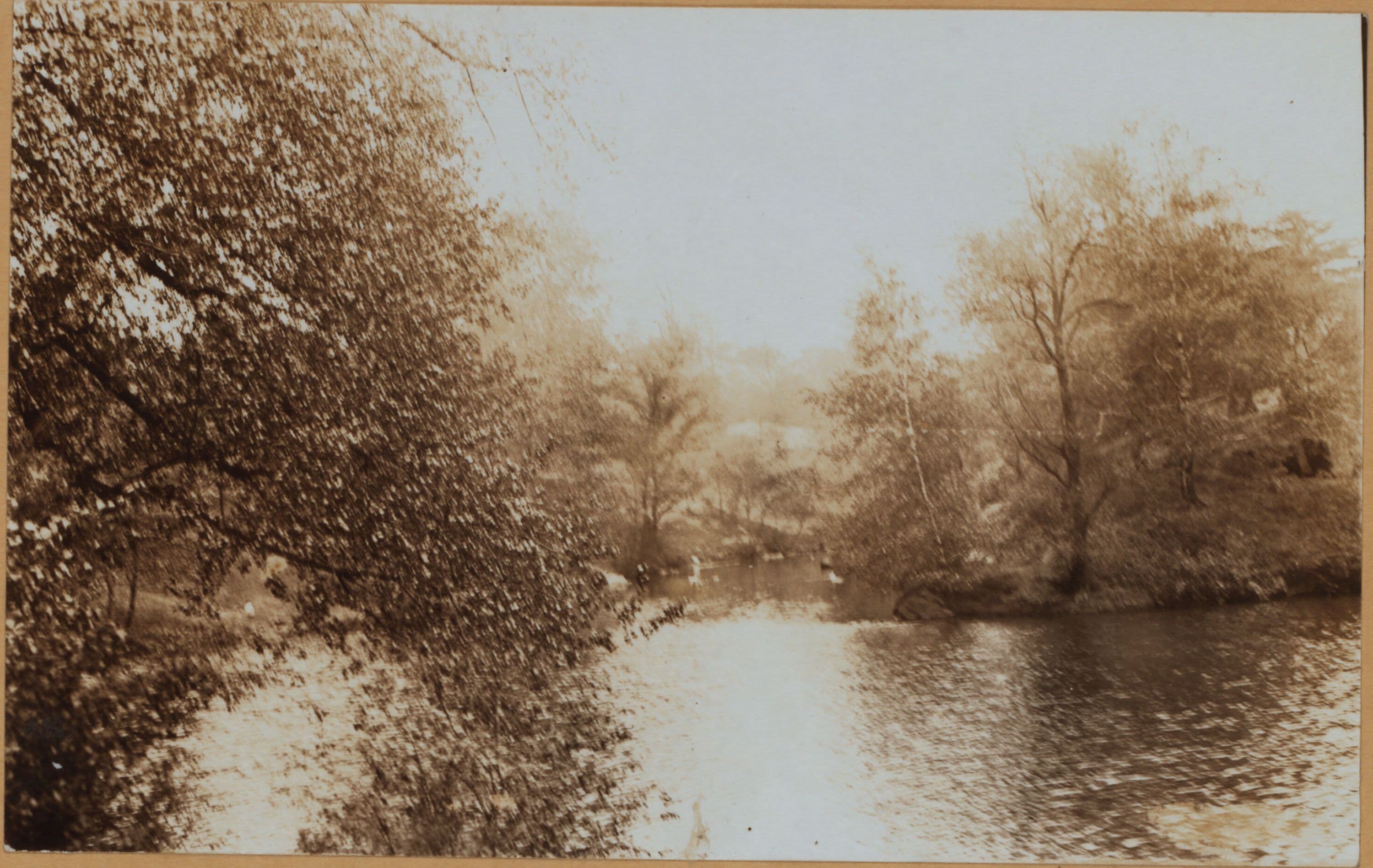 Manhattan: Central Park - The Pond., 1909