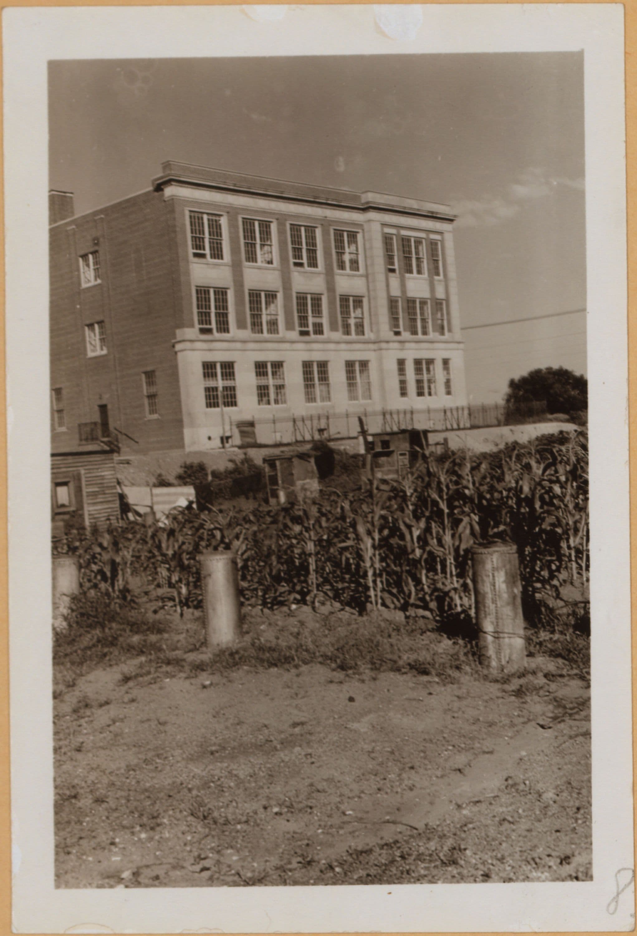 Brooklyn: Flatlands Avenue - 101st Street (East)